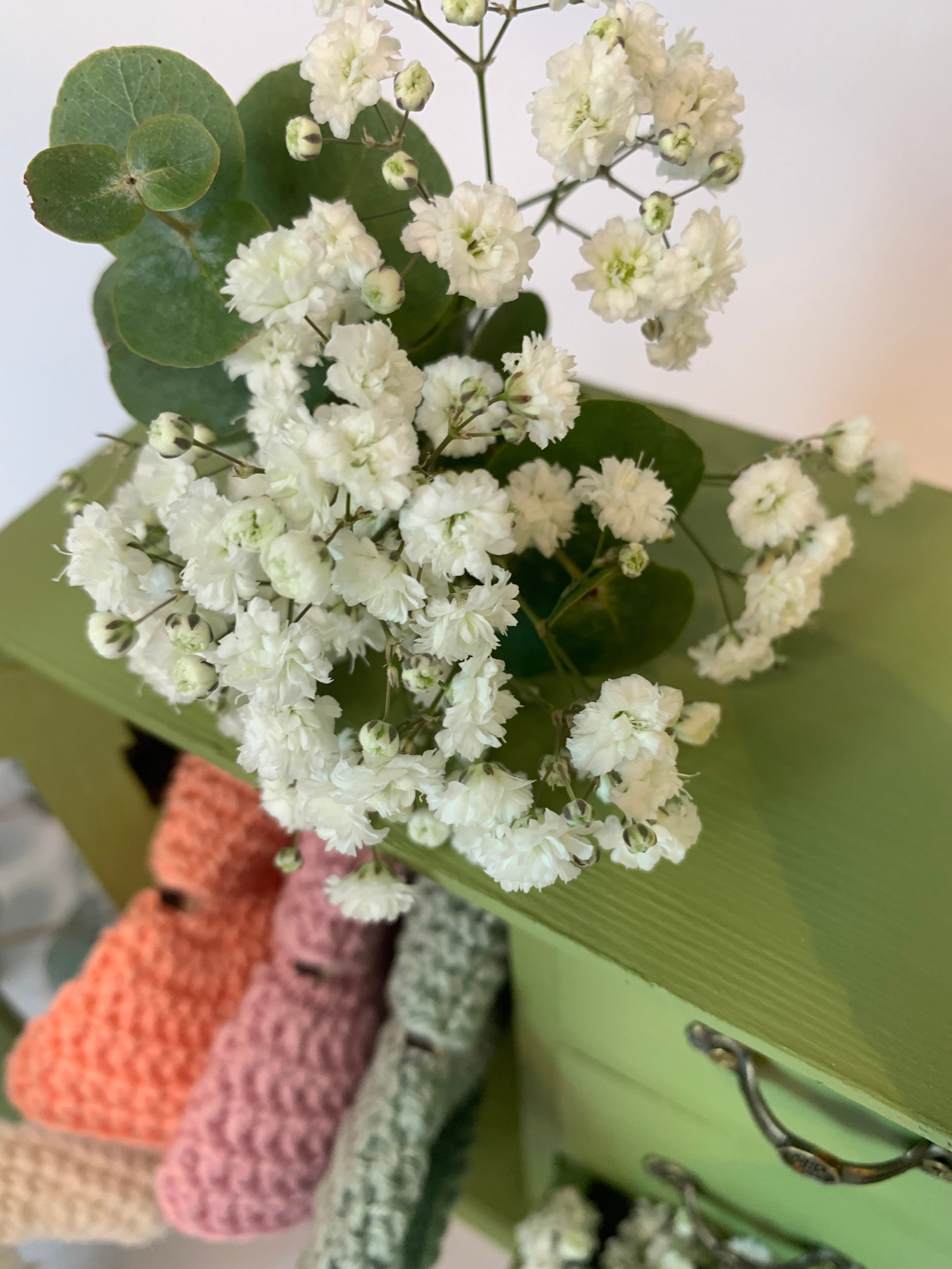 Ellie & Eliot i coniglietti